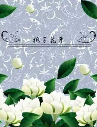 栀子花的初夏