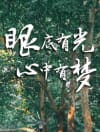 拨云见日